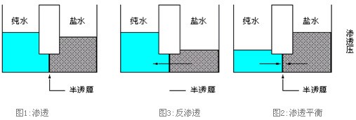 1617154901742423.jpg 21.jpg